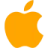 iOS mobile access